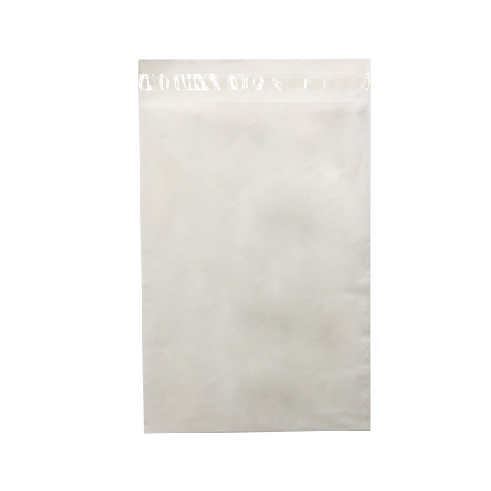 100% Biodegradable Express Envelope Bag ProStar ®